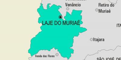 Kart over Laje gjøre Muriaé kommune